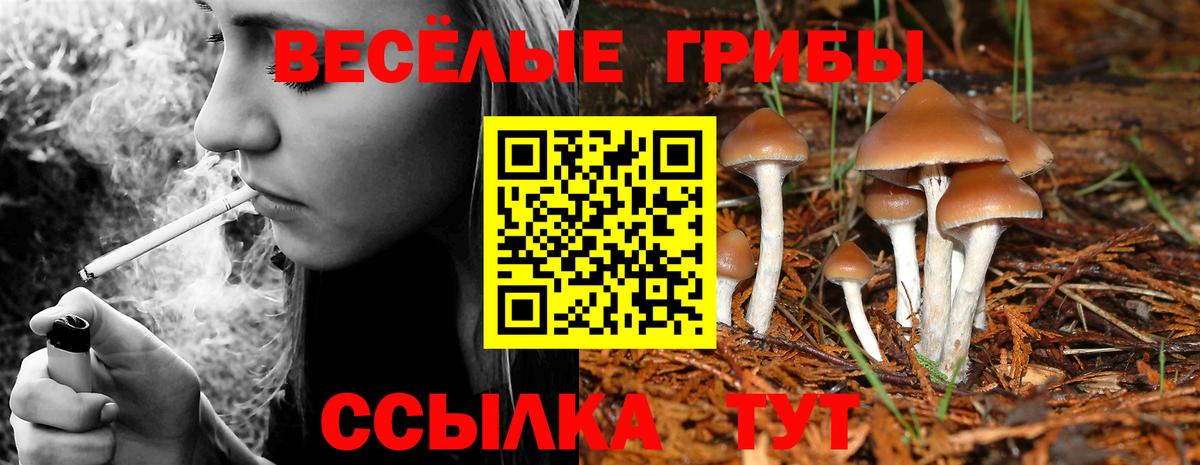 Псилоцибиновые грибы мухоморы  Псилоцибиновые грибы Psilocybine cubensis  Вход с VPN  Дзержинск 