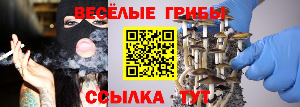 Галлюциногенные грибы Cubensis Дзержинск